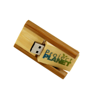 USB gỗ G10